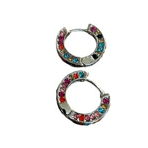 Stainless steel earrings